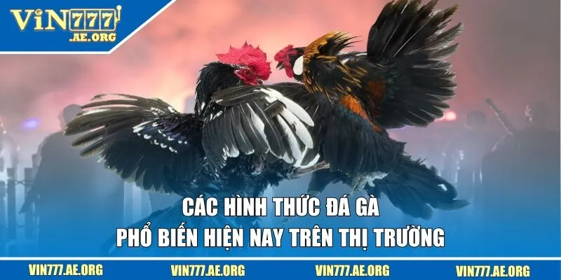 Hình thức đá gà phổ biến