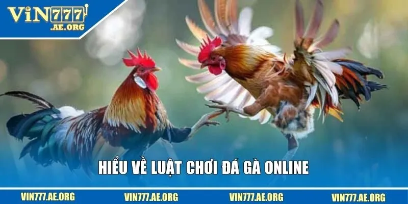 Hiểu về luật chơi đá gà online
