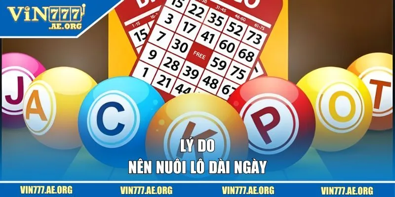 Lý do nên nuôi lô dài ngày