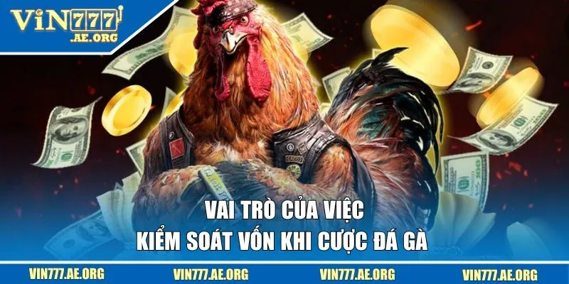Vai trò của việc kiểm soát vốn khi cược đá gà