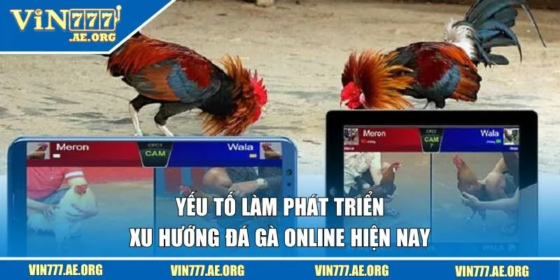 Yếu tố làm phát triển xu hướng đá gà online